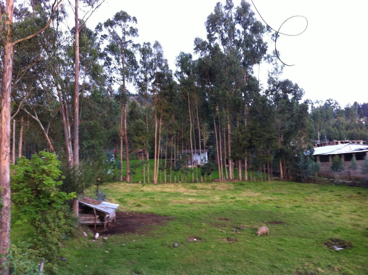Wayra Hospedaje Cajamarca Dış mekan fotoğraf